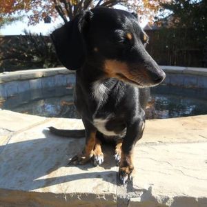 Meet your Posher, Paris